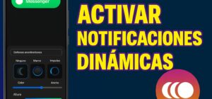 notificación dinámic