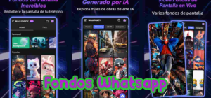 fondo whatsapp