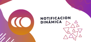 notificacion dinamica